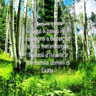 Picture 04 - 1 Samuele 11:8 RIV - Saul li passò in rassegna a Bezek, ed erano - Bible Verse Picture