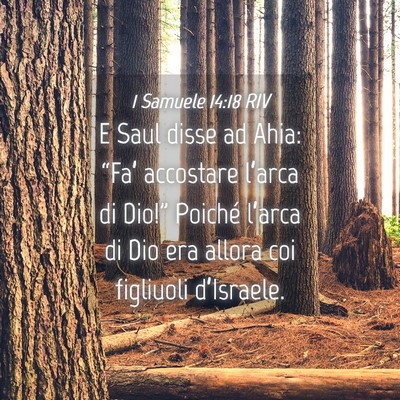 Picture 04 - 1 Samuele 14:18 RIV - E Saul disse ad Ahia: “Fa’ accostare l’arca - Bible Verse Picture