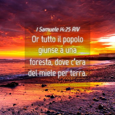 Picture 04 - 1 Samuele 14:25 RIV - Or tutto il popolo giunse a una foresta, dove - Bible Verse Picture