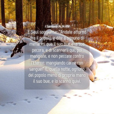 Picture 04 - 1 Samuele 14:34 RIV - E Saul soggiunse: “Andate attorno fra il - Bible Verse Picture