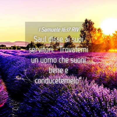 Picture 04 - 1 Samuele 16:17 RIV - Saul disse ai suoi servitori: “Trovatemi un - Bible Verse Picture