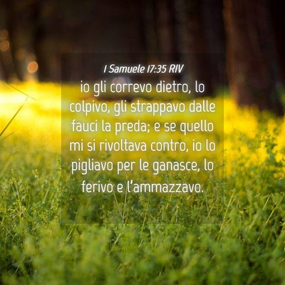 Picture 04 - 1 Samuele 17:35 RIV - io gli correvo dietro, lo colpivo, gli strappavo - Bible Verse Picture