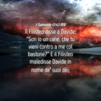 Picture 04 - 1 Samuele 17:43 RIV - Il Filisteo disse a Davide: “Son io un cane, - Bible Verse Picture