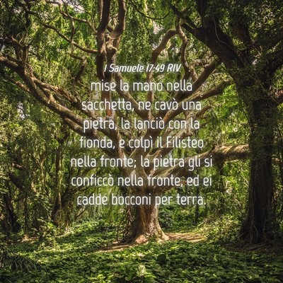 Picture 04 - 1 Samuele 17:49 RIV - mise la mano nella sacchetta, ne cavò una - Bible Verse Picture