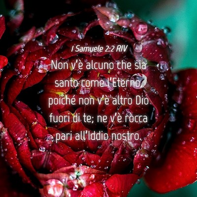 Picture 04 - 1 Samuele 2:2 RIV - Non v’è alcuno che sia santo come l’Eterno, - Bible Verse Picture