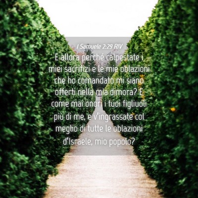 Picture 04 - 1 Samuele 2:29 RIV - E allora perché calpestate i miei sacrifizi e le - Bible Verse Picture