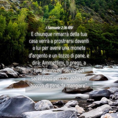Picture 04 - 1 Samuele 2:36 RIV - E chiunque rimarrà della tua casa verrà a - Bible Verse Picture