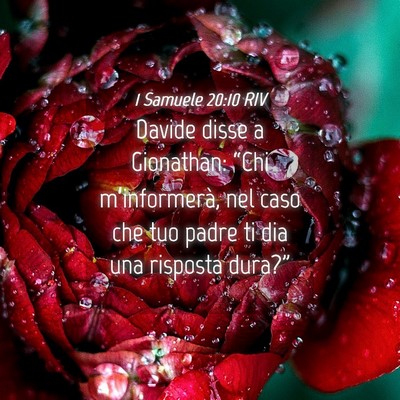 Picture 04 - 1 Samuele 20:10 RIV - Davide disse a Gionathan: “Chi m’informerà, - Bible Verse Picture