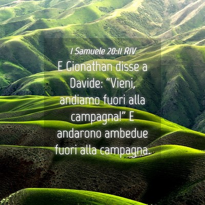 Picture 04 - 1 Samuele 20:11 RIV - E Gionathan disse a Davide: “Vieni, andiamo - Bible Verse Picture