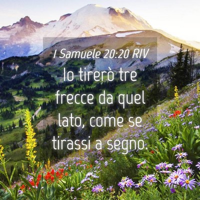 Picture 04 - 1 Samuele 20:20 RIV - Io tirerò tre frecce da quel lato, come se - Bible Verse Picture