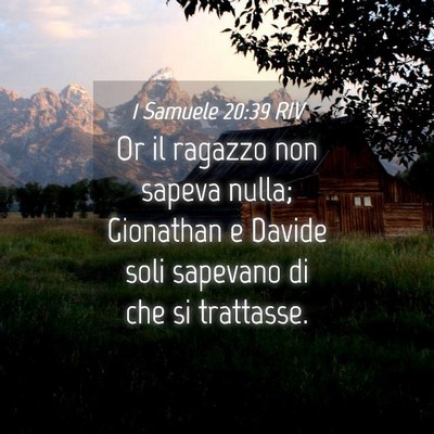 Picture 04 - 1 Samuele 20:39 RIV - Or il ragazzo non sapeva nulla; Gionathan e - Bible Verse Picture