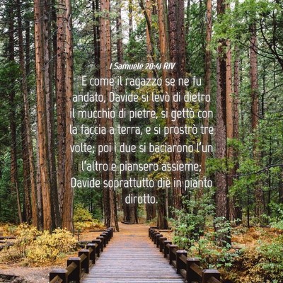 Picture 04 - 1 Samuele 20:41 RIV - E come il ragazzo se ne fu andato, Davide si - Bible Verse Picture