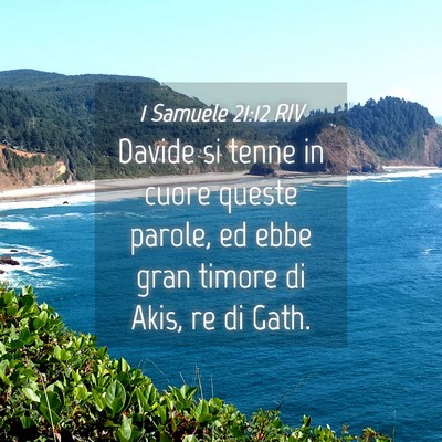 Picture 04 - 1 Samuele 21:12 RIV - Davide si tenne in cuore queste parole, ed ebbe - Bible Verse Picture