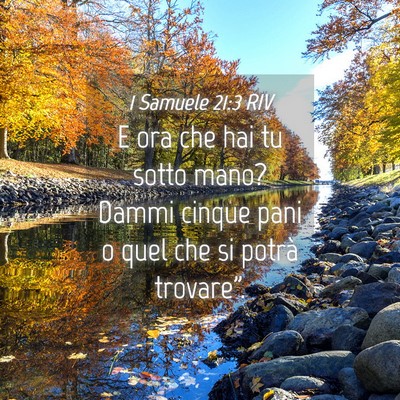 Picture 04 - 1 Samuele 21:3 RIV - E ora che hai tu sotto mano? Dammi cinque pani o - Bible Verse Picture