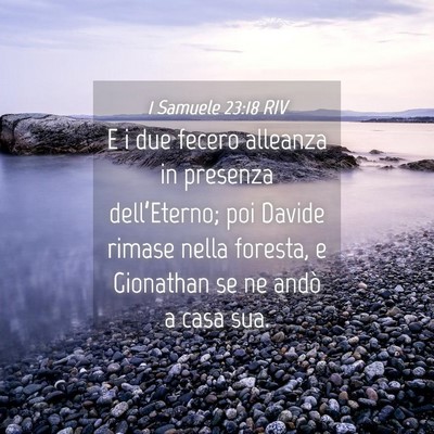 Picture 04 - 1 Samuele 23:18 RIV - E i due fecero alleanza in presenza - Bible Verse Picture