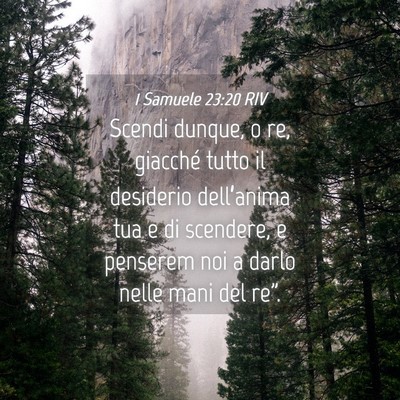 Picture 04 - 1 Samuele 23:20 RIV - Scendi dunque, o re, giacché tutto il desiderio - Bible Verse Picture