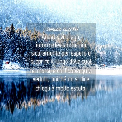 Picture 04 - 1 Samuele 23:22 RIV - Andate, vi prego, informatevi anche più - Bible Verse Picture