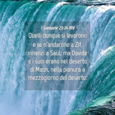 Picture 04 - 1 Samuele 23:24 RIV - Quelli dunque si levarono e se n’andarono a - Bible Verse Picture