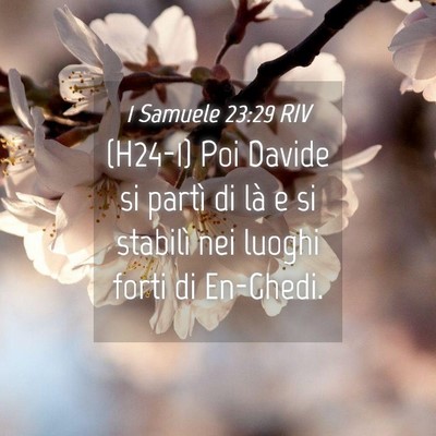 Picture 04 - 1 Samuele 23:29 RIV - (H24-1) Poi Davide si partì di là e si stabilì - Bible Verse Picture