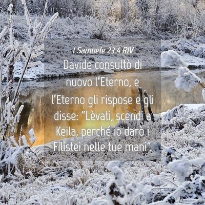 Picture 04 - 1 Samuele 23:4 RIV - Davide consultò di nuovo l’Eterno, e - Bible Verse Picture