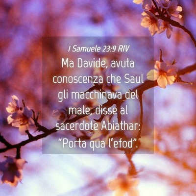 Picture 04 - 1 Samuele 23:9 RIV - Ma Davide, avuta conoscenza che Saul gli - Bible Verse Picture