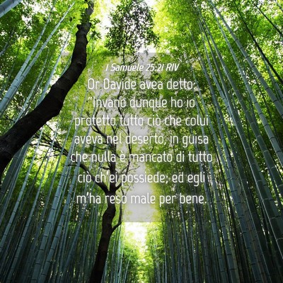 Picture 04 - 1 Samuele 25:21 RIV - Or Davide avea detto: “Invano dunque ho io - Bible Verse Picture