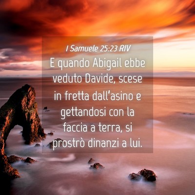 Picture 04 - 1 Samuele 25:23 RIV - E quando Abigail ebbe veduto Davide, scese in - Bible Verse Picture
