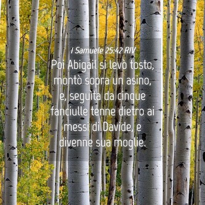 Picture 04 - 1 Samuele 25:42 RIV - Poi Abigail si levò tosto, montò sopra un - Bible Verse Picture