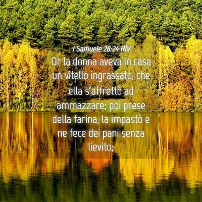Picture 04 - 1 Samuele 28:24 RIV - Or la donna aveva in casa un vitello ingrassato, - Bible Verse Picture