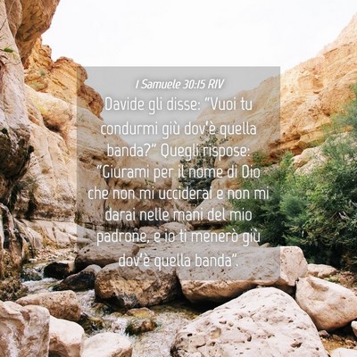 Picture 04 - 1 Samuele 30:15 RIV - Davide gli disse: “Vuoi tu condurmi giù - Bible Verse Picture
