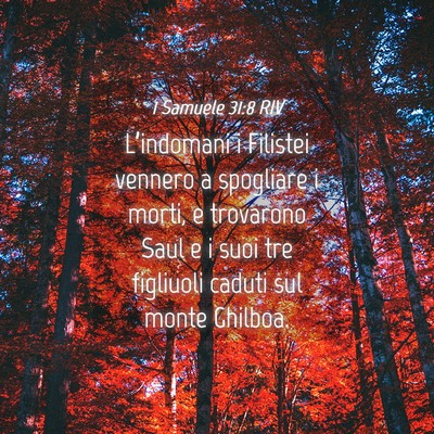 Picture 04 - 1 Samuele 31:8 RIV - L’indomani i Filistei vennero a spogliare i - Bible Verse Picture