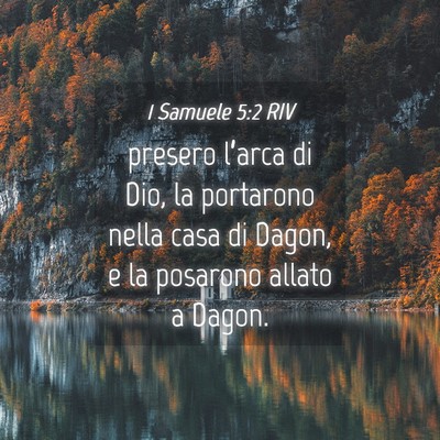 Picture 04 - 1 Samuele 5:2 RIV - presero l’arca di Dio, la portarono nella casa - Bible Verse Picture