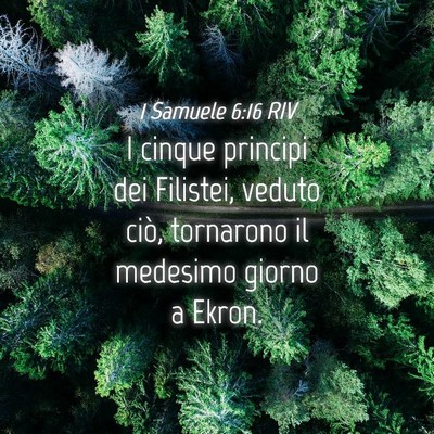 Picture 04 - 1 Samuele 6:16 RIV - I cinque principi dei Filistei, veduto ciò, - Bible Verse Picture
