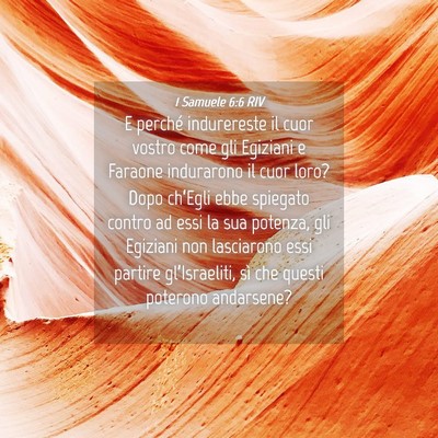 Picture 04 - 1 Samuele 6:6 RIV - E perché indurereste il cuor vostro come gli - Bible Verse Picture