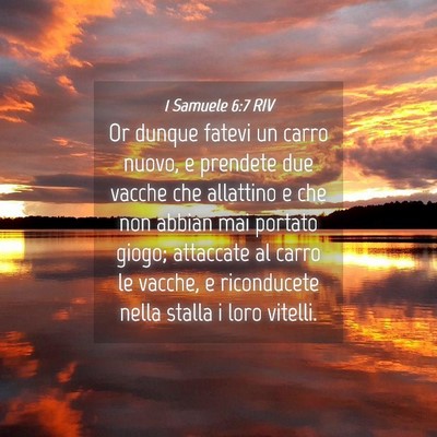 Picture 04 - 1 Samuele 6:7 RIV - Or dunque fatevi un carro nuovo, e prendete due - Bible Verse Picture