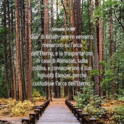 Picture 04 - 1 Samuele 7:1 RIV - Que’ di Kiriath-Jearim vennero, menarono su - Bible Verse Picture