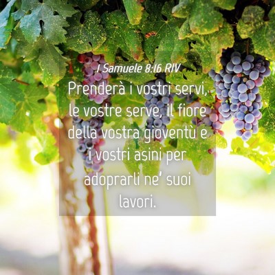 Picture 04 - 1 Samuele 8:16 RIV - Prenderà i vostri servi, le vostre serve, il - Bible Verse Picture