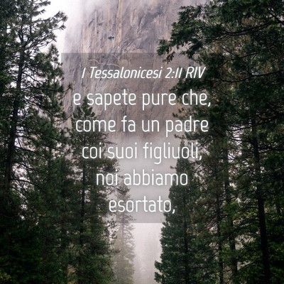 Picture 04 - 1 Tessalonicesi 2:11 RIV - e sapete pure che, come fa un padre coi suoi - Bible Verse Picture