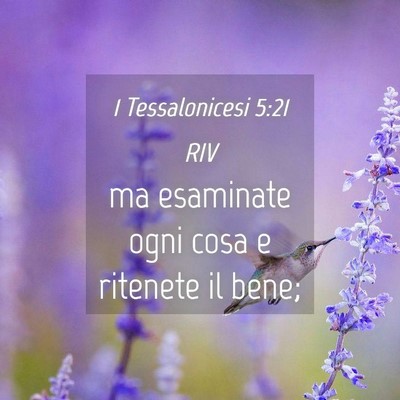 Picture 04 - 1 Tessalonicesi 5:21 RIV - ma esaminate ogni cosa e ritenete il - Bible Verse Picture