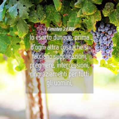Picture 04 - 1 Timoteo 2:1 RIV - Io esorto dunque, prima d’ogni altra cosa, che - Bible Verse Picture