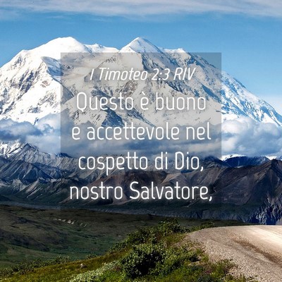 Picture 04 - 1 Timoteo 2:3 RIV - Questo è buono e accettevole nel cospetto di - Bible Verse Picture