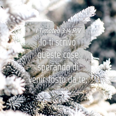 Picture 04 - 1 Timoteo 3:14 RIV - Io ti scrivo queste cose sperando di venir tosto - Bible Verse Picture