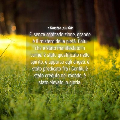 Picture 04 - 1 Timoteo 3:16 RIV - E, senza contraddizione, grande è il mistero - Bible Verse Picture
