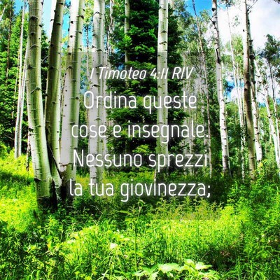 Picture 04 - 1 Timoteo 4:11 RIV - Ordina queste cose e insegnale. Nessuno sprezzi - Bible Verse Picture