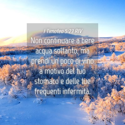 Picture 04 - 1 Timoteo 5:23 RIV - Non continuare a bere acqua soltanto, ma prendi - Bible Verse Picture