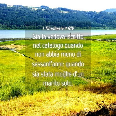 Picture 04 - 1 Timoteo 5:9 RIV - Sia la vedova iscritta nel catalogo quando non - Bible Verse Picture