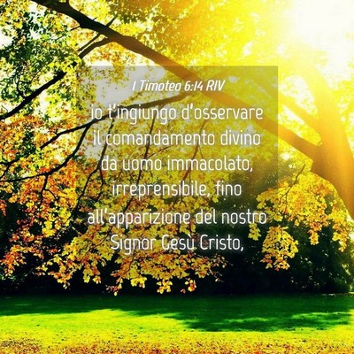 Picture 04 - 1 Timoteo 6:14 RIV - io t’ingiungo d’osservare il comandamento - Bible Verse Picture