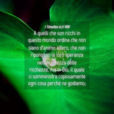 Picture 04 - 1 Timoteo 6:17 RIV - A quelli che son ricchi in questo mondo ordina - Bible Verse Picture
