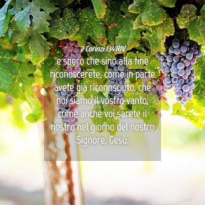 Picture 04 - 2 Corinzi 1:14 RIV - e spero che sino alla fine riconoscerete, come in - Bible Verse Picture