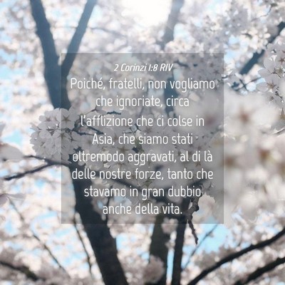 Picture 04 - 2 Corinzi 1:8 RIV - Poiché, fratelli, non vogliamo che ignoriate, - Bible Verse Picture
